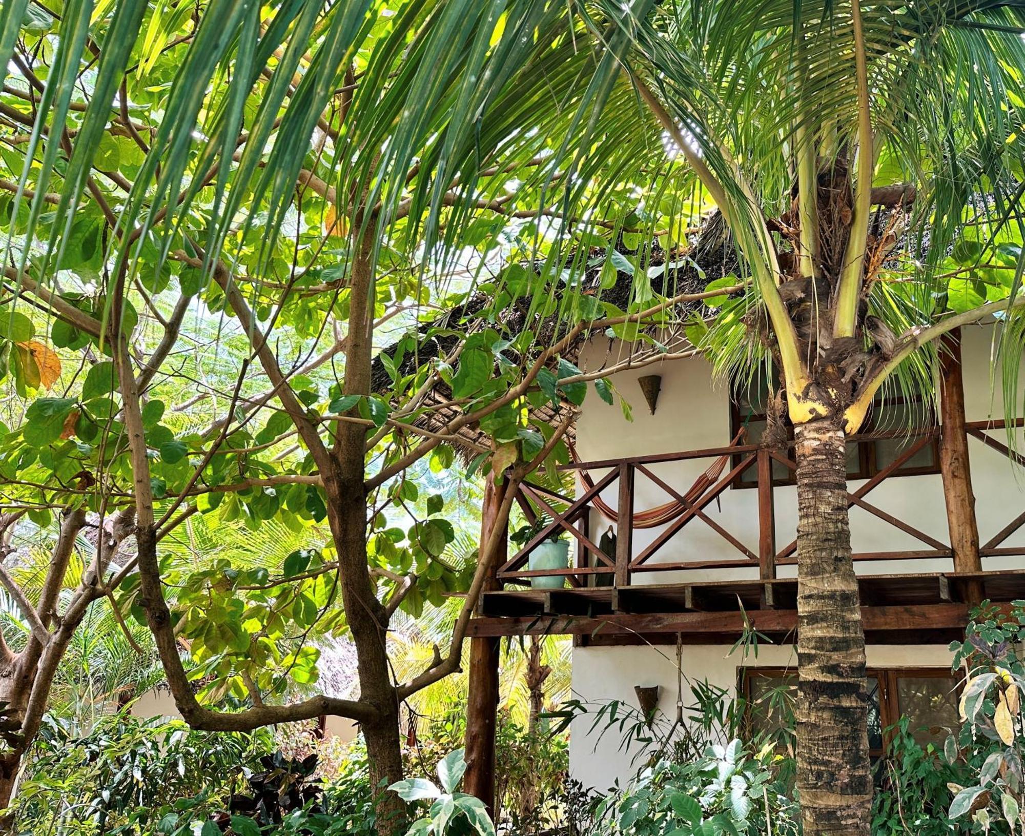 Maisha Nungwi - Boutique Hotel Exteriér fotografie